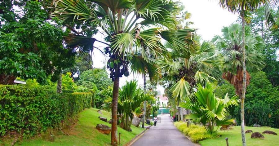 Mahé: Private Customizable Full-Day Tour with Hotel Pickup - Mission Lodge and the Sans Soucis view