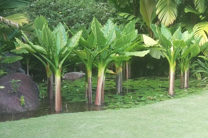 Mahe Private full day tour - Why a Private Day on Mahe Makes Sense