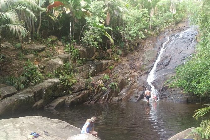 Mahe Private full day tour - Tea Factory: A Short, Pleasant Mountain Stop