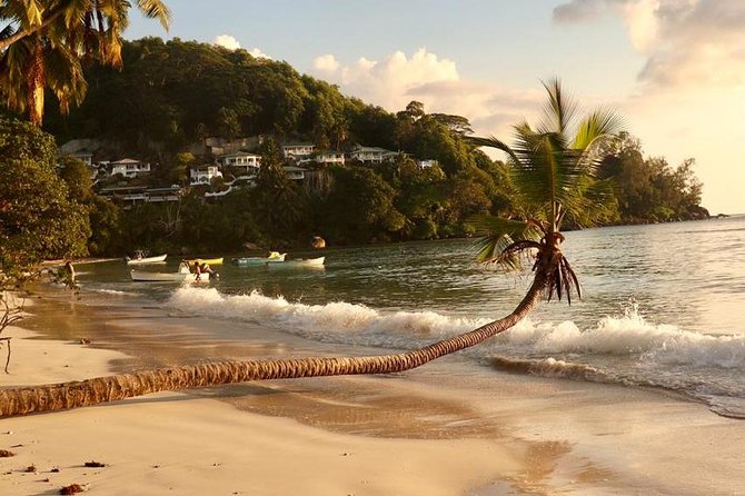 Mahe Private full day tour - Beaches, Gardens, and the Freedom to Change Course