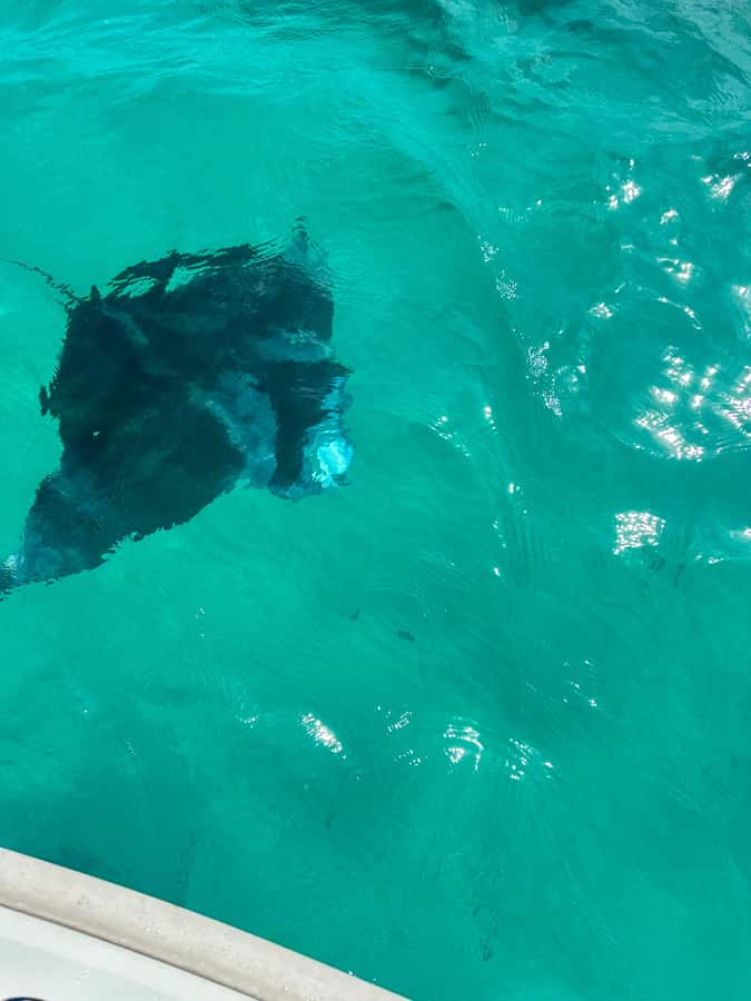 Mahe: Private half-day boat trip at the St.Anne Marine Park - Starting in Victoria and heading into the marine park