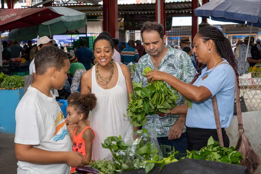Mahé: Wild South Discovery Trip with Local Lunch - Why this tour works for a first day on Mahé