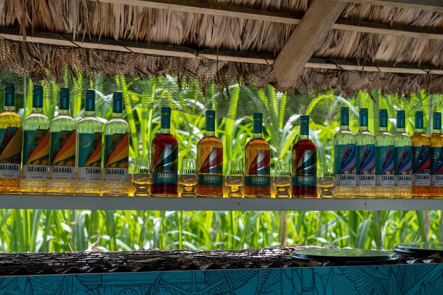 Mahé: Wild South Discovery Trip with Local Lunch - Who should book this Mahé tour?