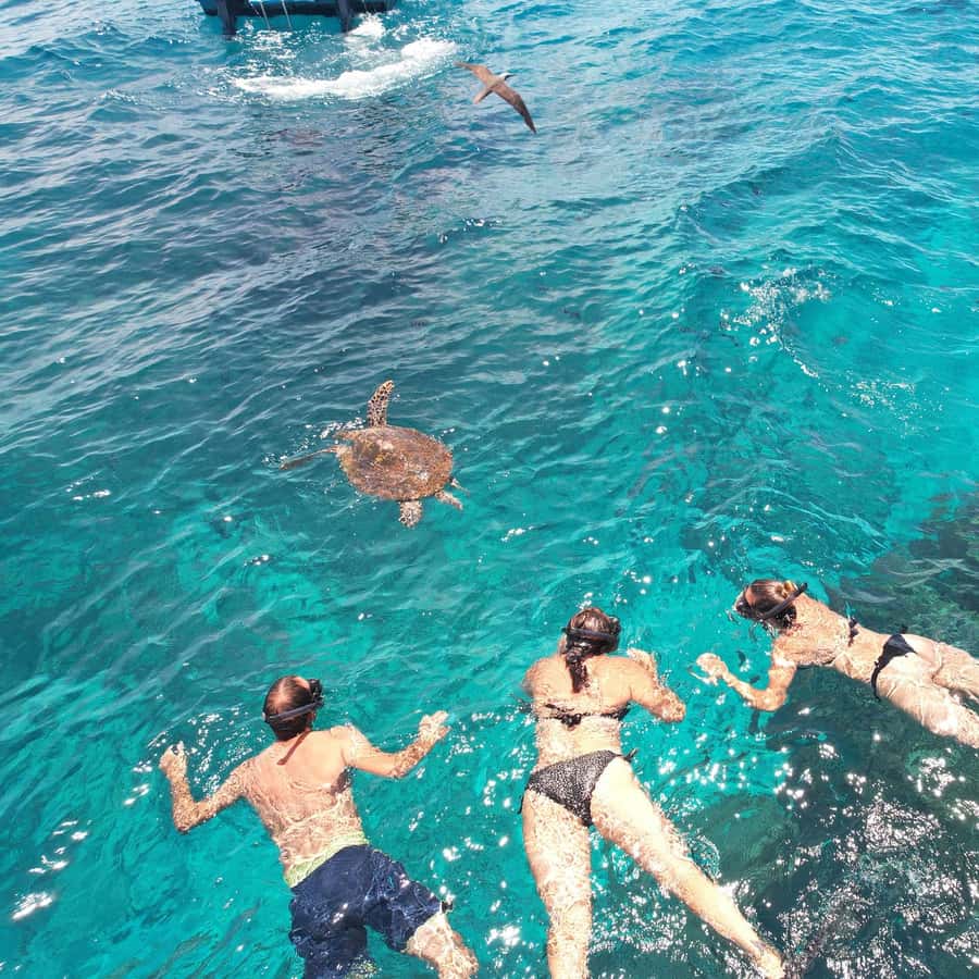 Praslin - Curieuse St Pierre Anse Georgette Private Trip - Key points at a glance