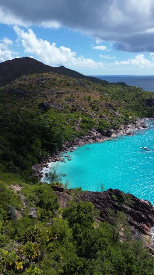 Praslin - Curieuse St Pierre Anse Georgette Private Trip - Walking Curieuse’s 1.7-kilometer mangrove trail