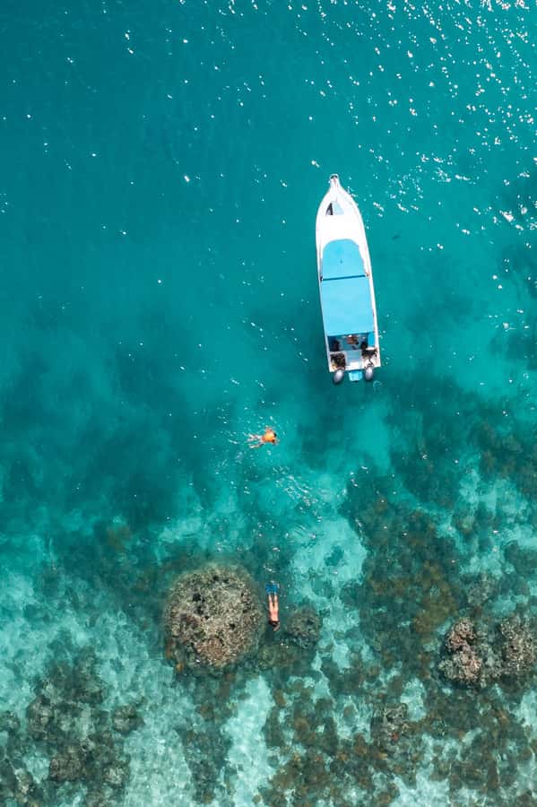 Praslin - Curieuse St Pierre Anse Georgette Private Trip - BBQ lunch and Seychellois touches