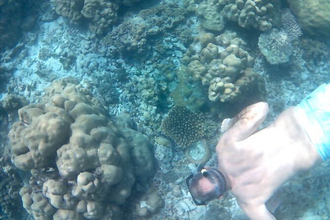 Praslin Curieuse, St Pierre &AnseLafarine fullday trip CreoleBBQ - A second swim at Anse Lafarine