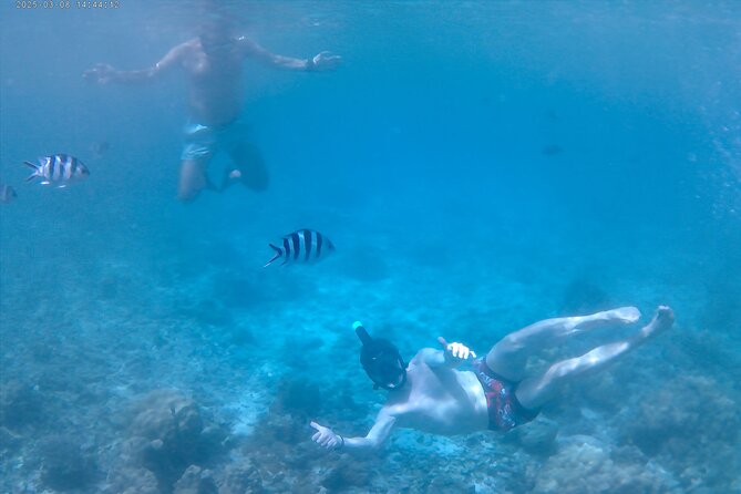 Praslin Curieuse, St Pierre &AnseLafarine fullday trip CreoleBBQ - Reaching Curieuse at 9:30am