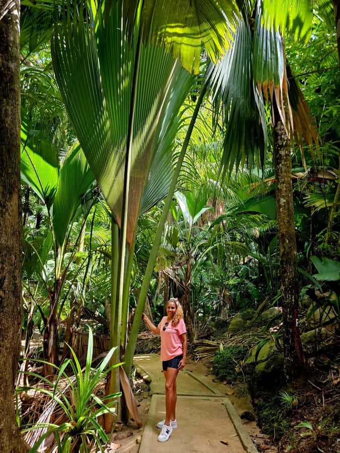 Praslin: Full Day Private Tour - Anse Georgette: soft sand and clear water