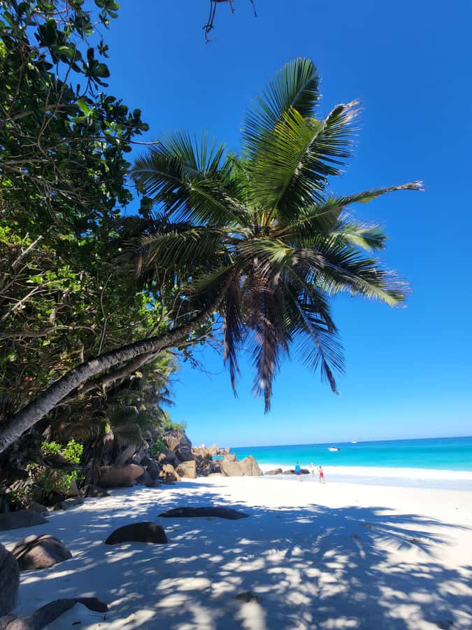 Praslin: Full Day Private Tour - Optional shore snorkeling