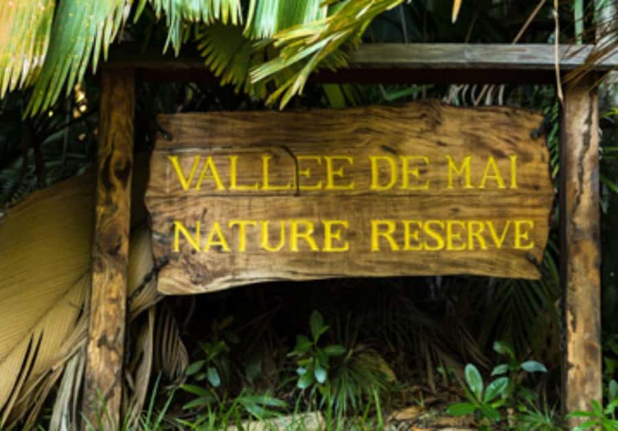 Praslin : Private tour - Anse Georgette and the lunch question