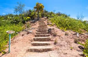Praslin : Private tour - The 10-minute walk down to Anse Lazio