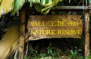 Praslin : Private tour - My verdict on the $117 price