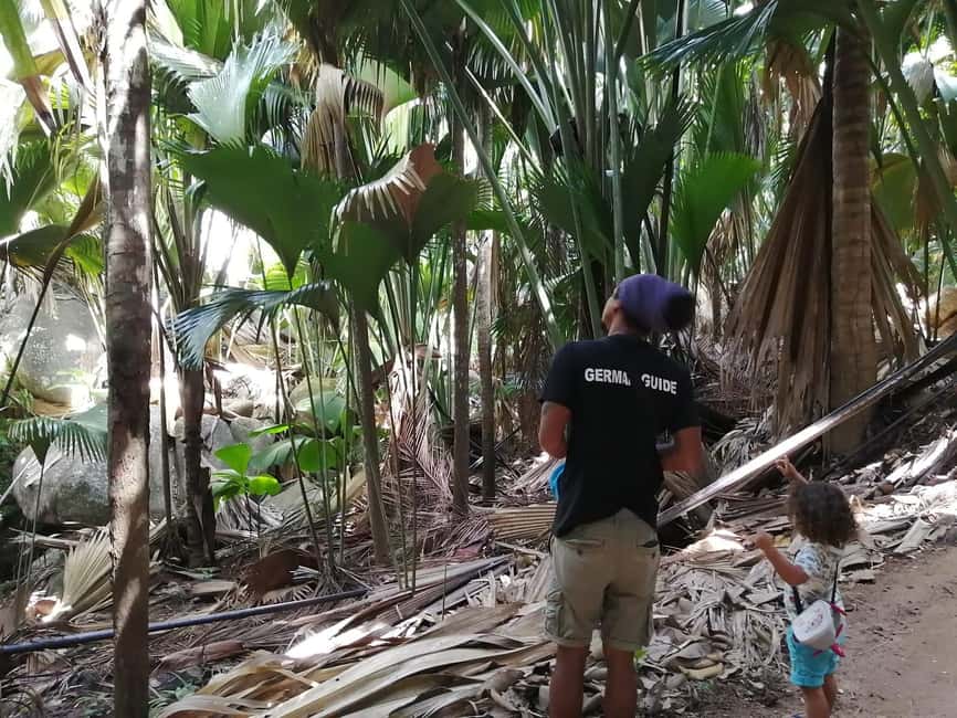Praslin: private tour of the Vallée de Mai with a local guide - Why Vallée de Mai feels unlike an ordinary nature walk