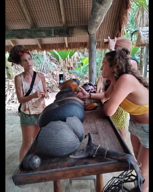 Praslin: private tour of the Vallée de Mai with a local guide - What the 1-hour-15-minute walk is like