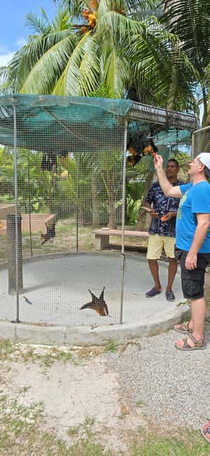 Praslin:Private Tour ValleDeMai,CoteD'orMuseum & AnseLazio - Key points to know before booking