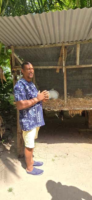 Praslin:Private Tour ValleDeMai,CoteD'orMuseum & AnseLazio - Four hours at Anse Lazio