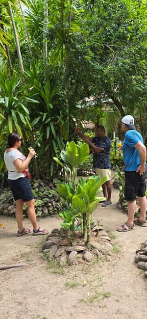 Praslin:Private Tour ValleDeMai,CoteD'orMuseum & AnseLazio - Should you book this Praslin day trip?