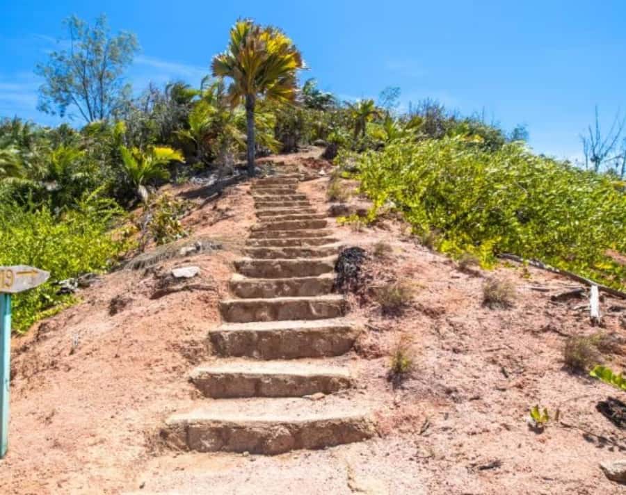 Praslin : Private tour - Picking between Vallée de Mai and Fond Ferdinand