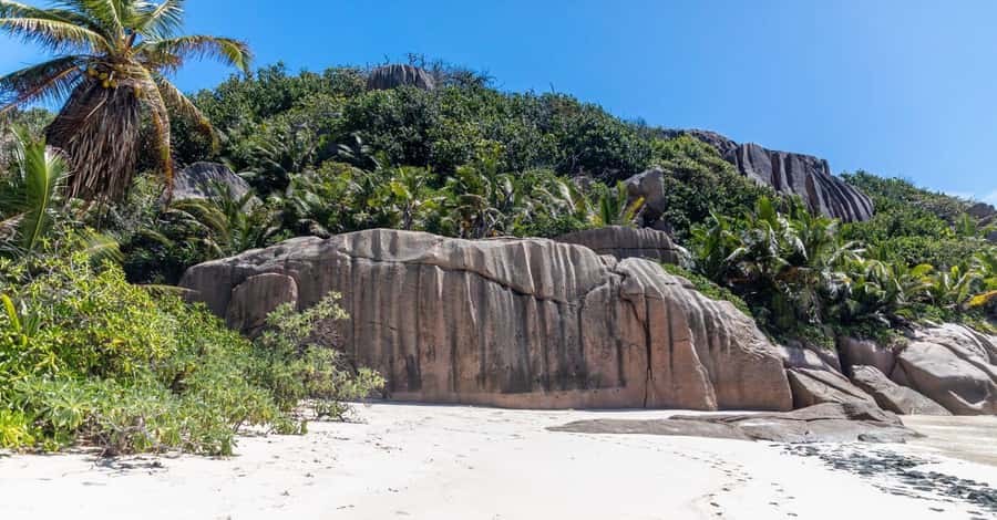 Praslin: Sister & Coco Island Full-Day Cruise and Creole BBQ - Snorkeling with fish, turtles, and small sharks