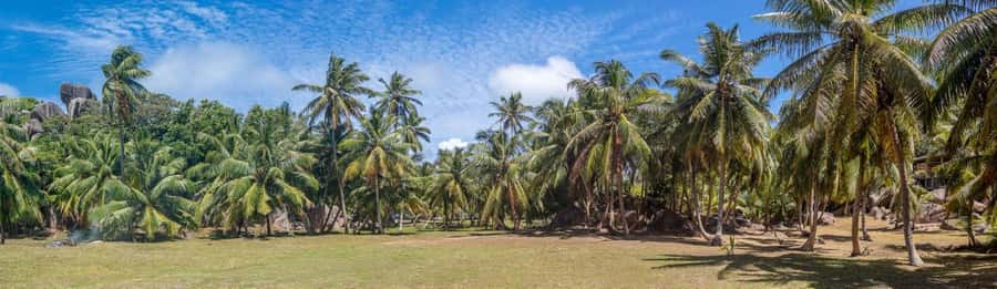 Praslin: Sister & Coco Island Full-Day Cruise and Creole BBQ - Communication and organization