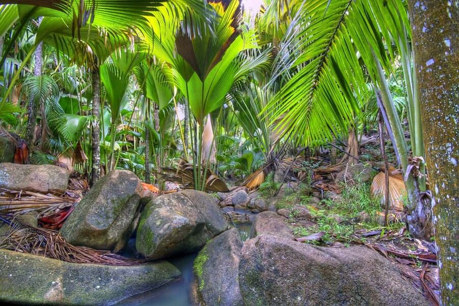 Praslin : Tour (Shared) - Zimbabwe viewpoint closes the afternoon