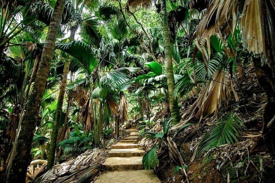 Praslin : Tour (Shared) - How much guiding should you expect?