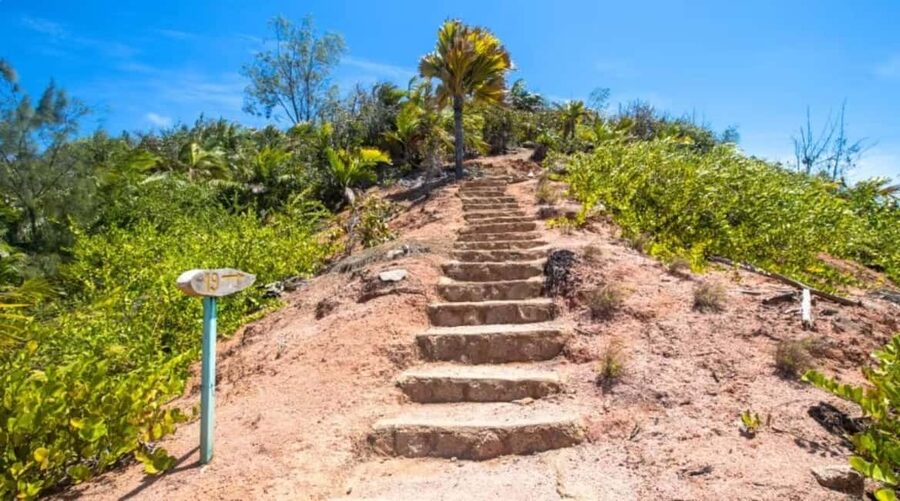 Praslin : Tour (Shared) - Starting in Vallée de Mai among Coco de Mer palms