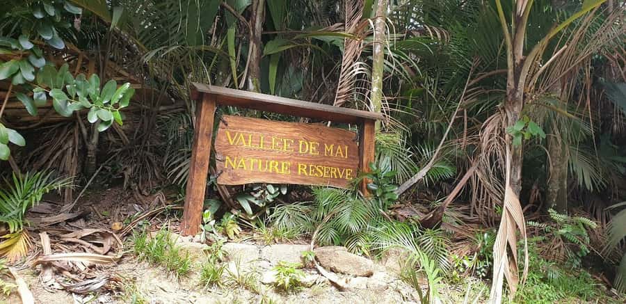 Praslin: Vallée de Mai and Anse Lazio Beach Full-day Tour - Paying for Vallée de Mai separately