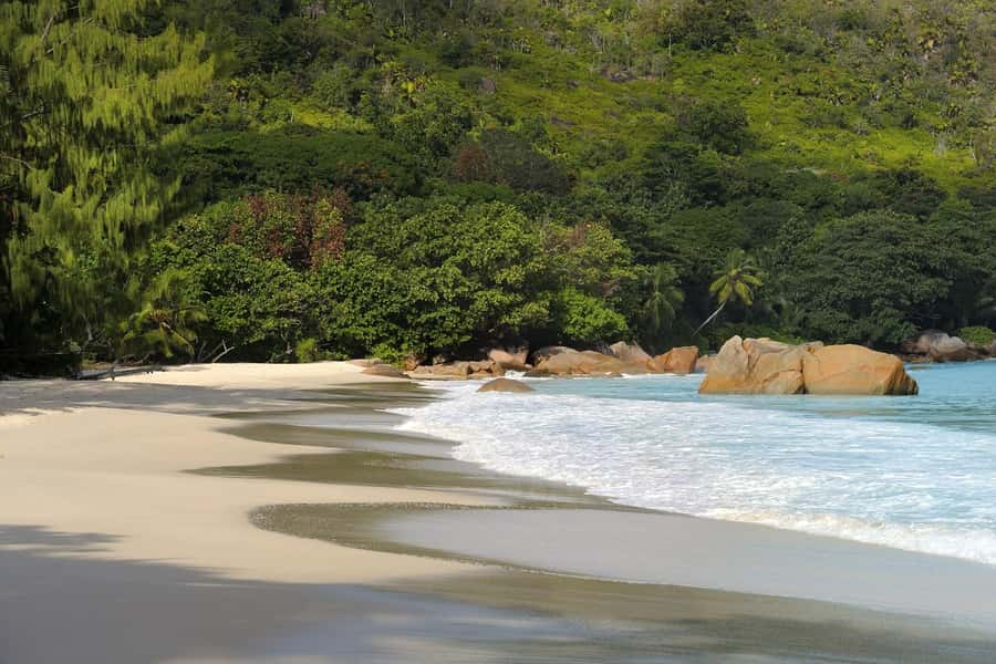 Praslin: Vallée de Mai and Anse Lazio Beach Full-day Tour - Anse Lazio: a long afternoon on famous sand