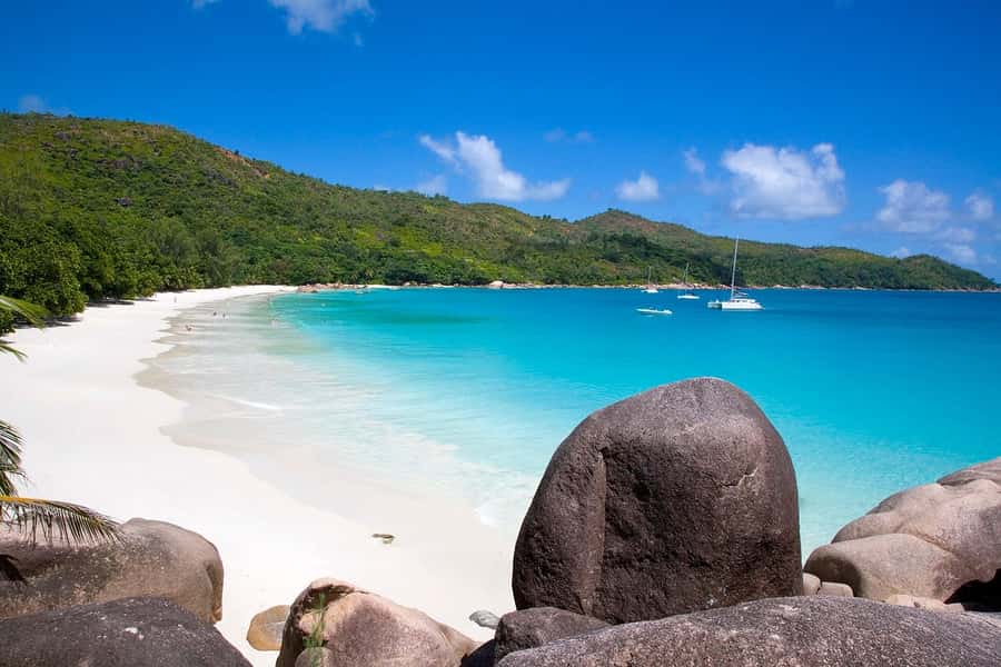 Praslin: Vallée de Mai and Anse Lazio Beach Full-day Tour - Lunch, timing, and the rhythm of the day