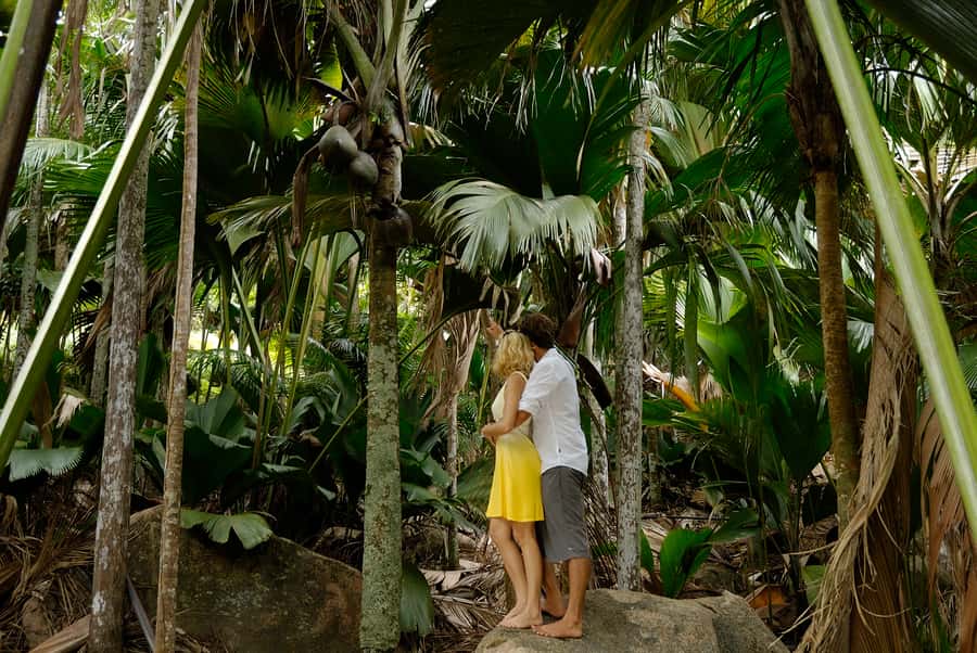 Praslin: Vallée de Mai and Anse Lazio Beach Full-day Tour - Is $76 good value?