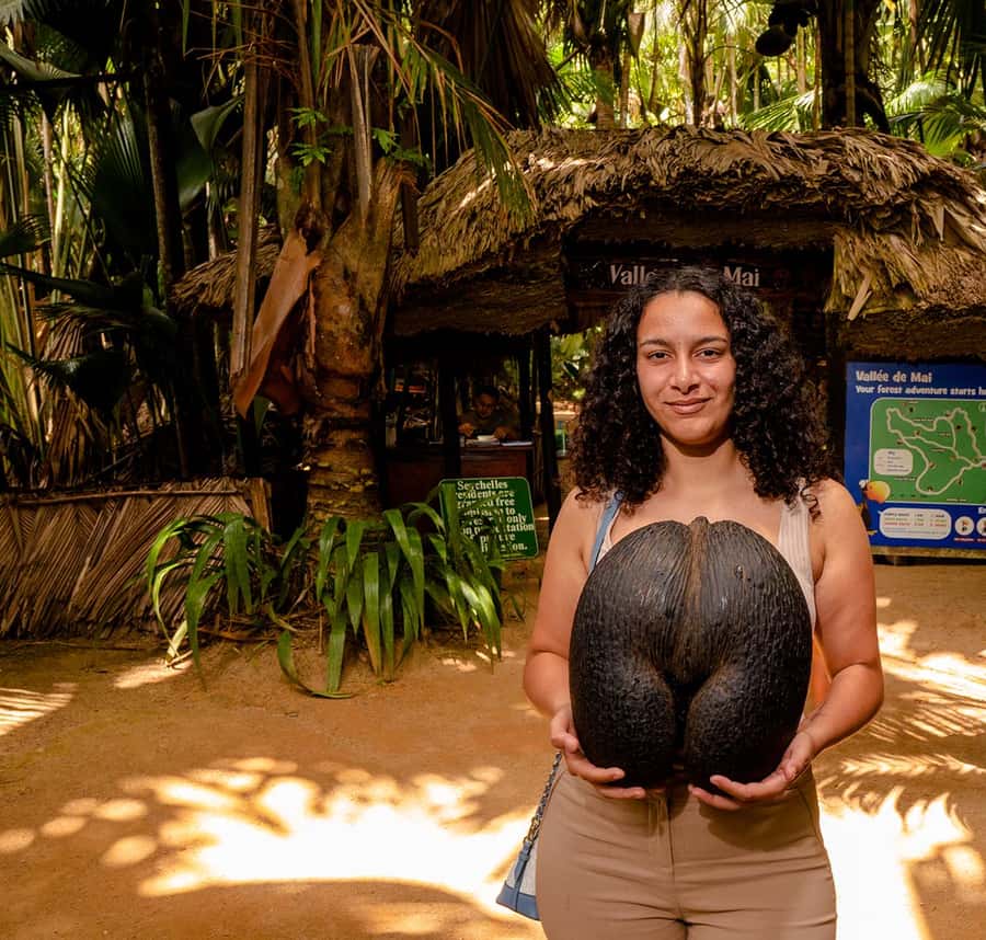 Praslin: Vallee de Mai Guided Hike with Transfer - Key points at a glance