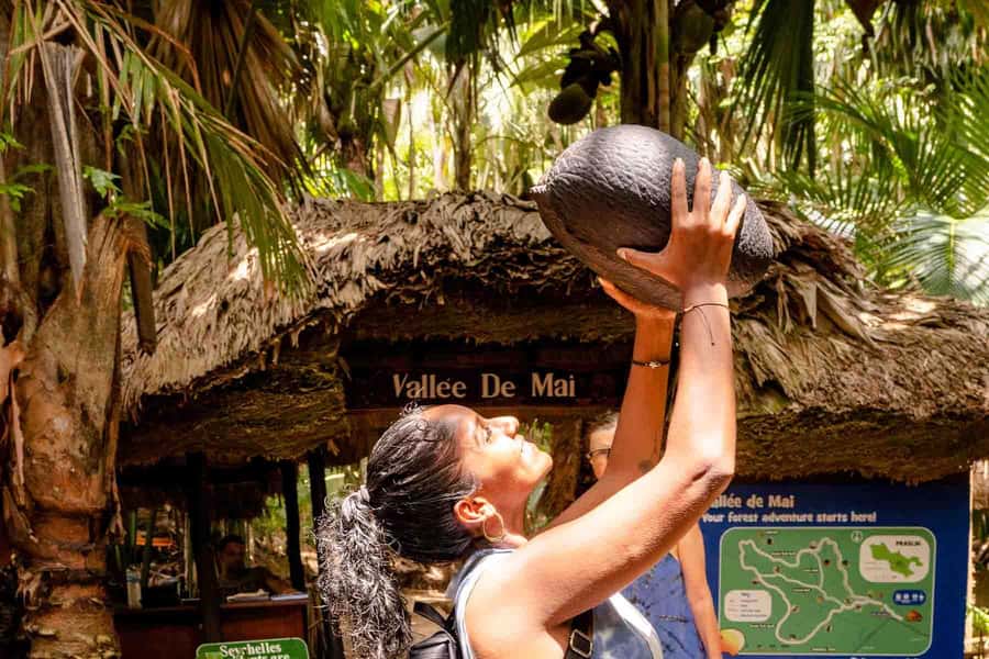 Praslin: Vallee de Mai Guided Hike with Transfer - Why Vallée de Mai feels unlike an ordinary palm grove