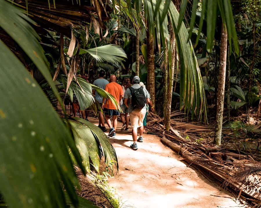 Praslin: Vallee de Mai Guided Hike with Transfer - Legends give the short tour a clear shape