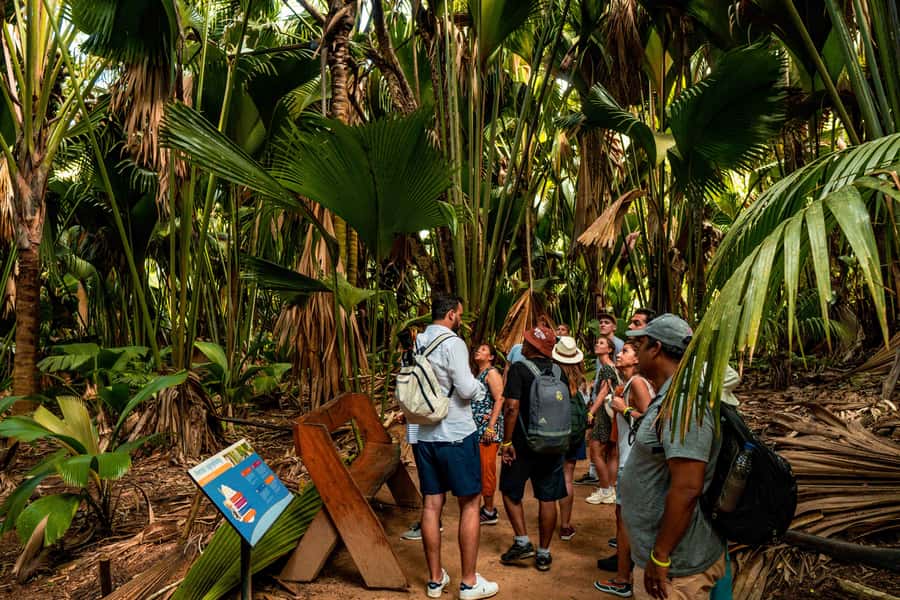 Praslin: Vallee de Mai Guided Hike with Transfer - The transfer from your hotel sets the pace