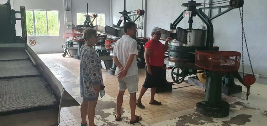 Private Customized Tour: Explore Mahe beyond the ordinary - Key points before you book