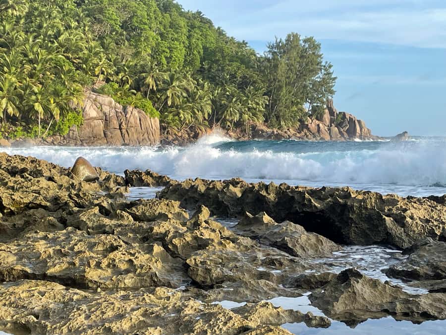 Private Customized Tour: Explore Mahe beyond the ordinary - Domaine de Val de Pres and Seychellois traditions