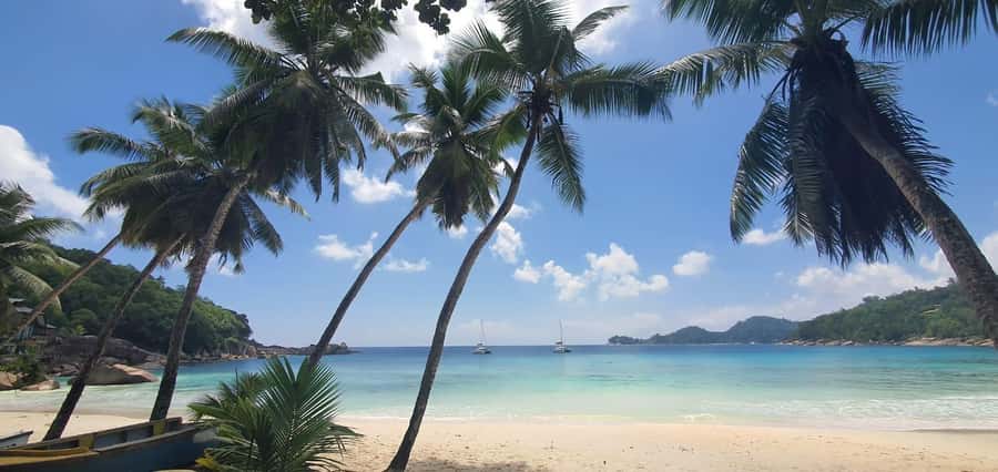 Private Customized Tour: Explore Mahe beyond the ordinary - Victoria, where the island story begins