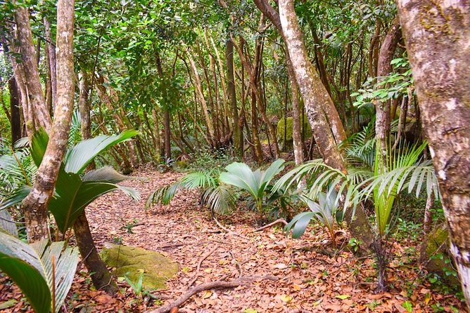 Private Full day Mahé island tour (1-2 persons) - Lunch at a local restaurant or fast-food stop