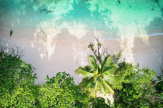 Private full day Mahe island tour 8-10 persons - What This Mahé Tour Does Well