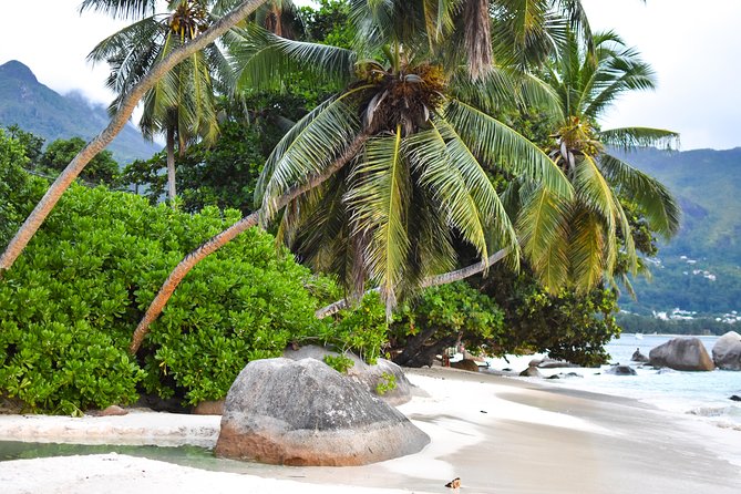 Private Half Day Mahe Island Tour (1-5 persons) - Using the custom Mahe Island portion wisely