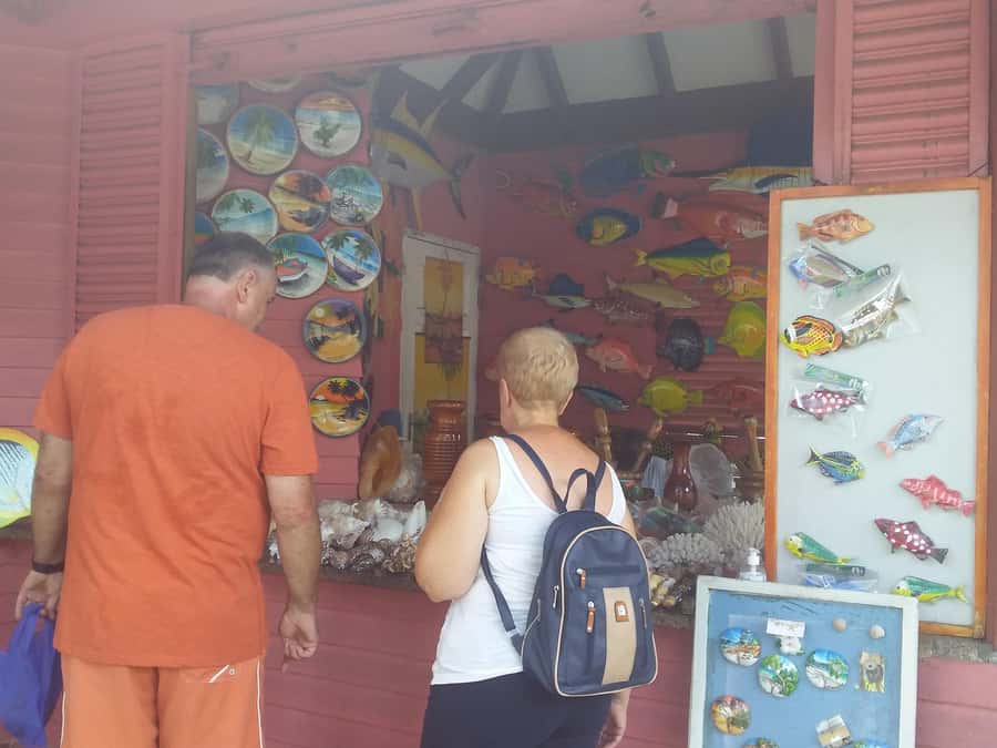 Private half day tour with free rum tasting - Colonial reminders around the capital