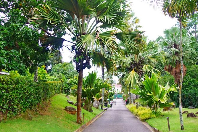 Private Mahe Island Full day Tour with Pickup - Port Launay for swimming and snorkeling