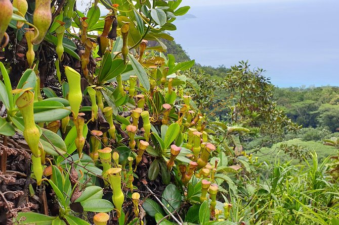 Private Nature Tours & Trail 1 to 5 persons - Shoes and fitness are not minor details