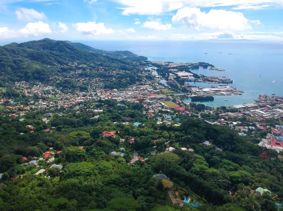 Private nature trail/hiking (5-7 Persons) - Why Leave Mahé’s Beaches for the Forest?