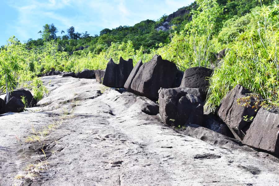 Private nature trail/hiking (5-7 Persons) - Morn Blanc: A Forest Route Without a Listed Fee