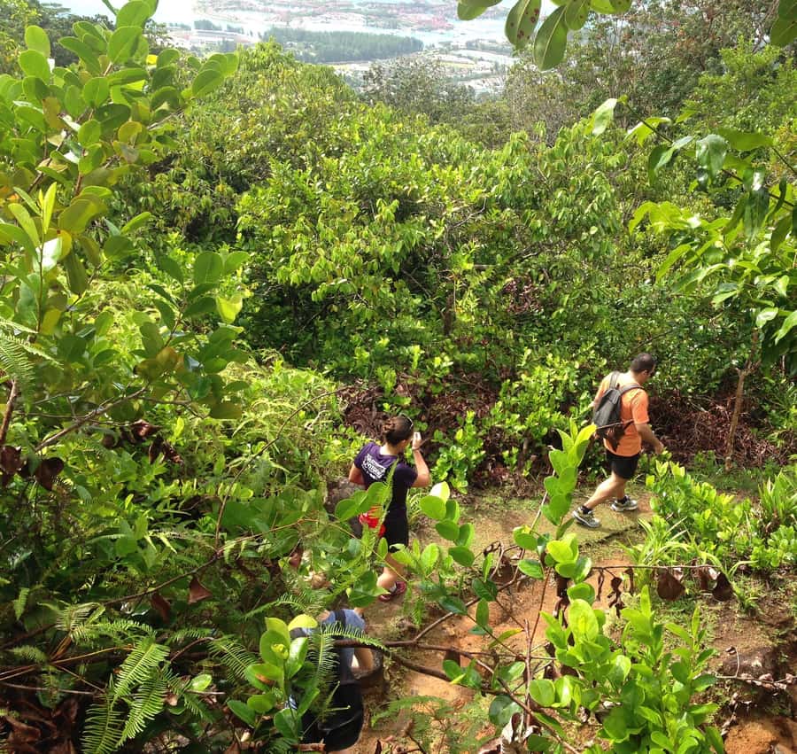 Private nature trail/hiking (5-7 Persons) - What to Wear and Carry