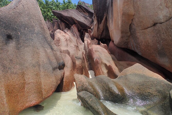 Private Seychelles Islands Tour by Boat with snacks & drinks - Who will enjoy this outing most?