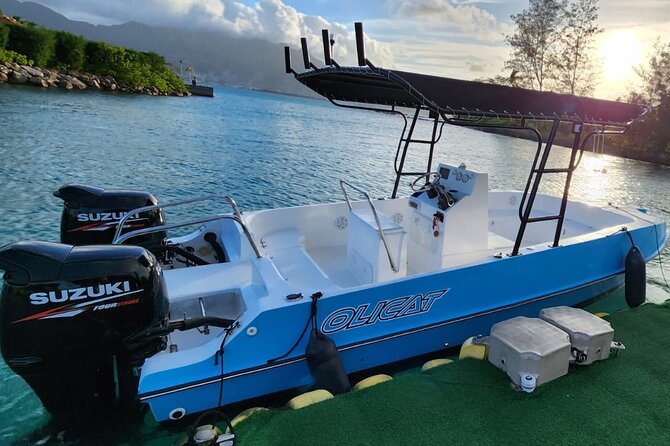 Reef Safari - Snorkeling, Fish Feeding & Lunch (Private Day Trip) - Moyenne Island, giant tortoises, and a 45-minute walk
